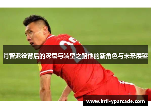 肖智退役背后的深意与转型之路他的新角色与未来展望