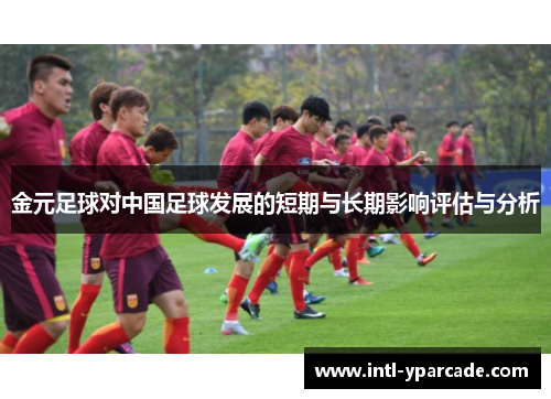 金元足球对中国足球发展的短期与长期影响评估与分析