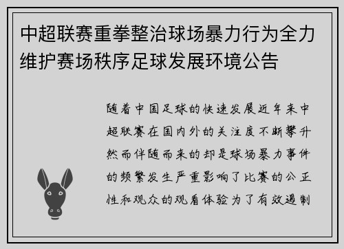 中超联赛重拳整治球场暴力行为全力维护赛场秩序足球发展环境公告
